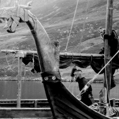 Vikings History
