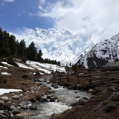 6/5 The tempting yet killer mountain, Nanga Parbat from Beyal camp. This is where your heart desires