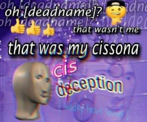 More Pride Post Heres Some Queer Memes