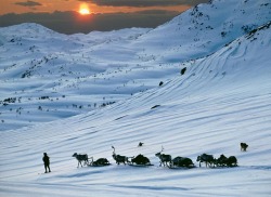 Supply run in Norway