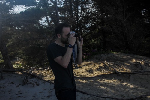 Te Arai Beach, about an hour north of Auckland, NZ. White sands and pine forests surrounded by typic