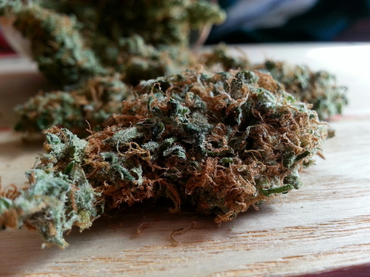 smoketogethighcustheworldissolow:  Cheers!