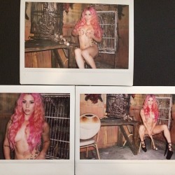 annaleebelle:  New polaroids up on my site!