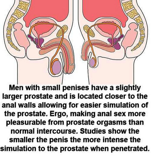 https://mrboneus.tumblr.com/post/118105445569