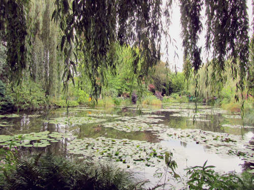 acopipa:  Claude Monet’s home, Giverny 