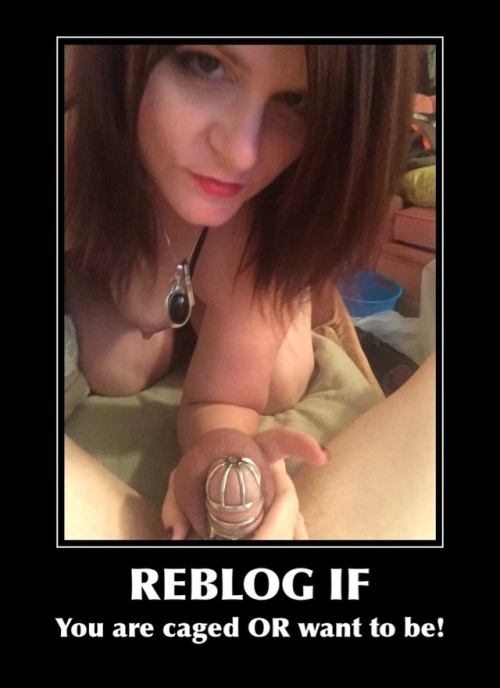 looksub: tsalad44: chastity-queen: If you already follow Me, you will know that I WANT ALL MEN CAGE