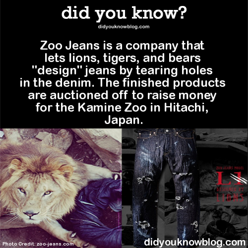 Sex did-you-kno:  Zoo Jeans is a company that pictures