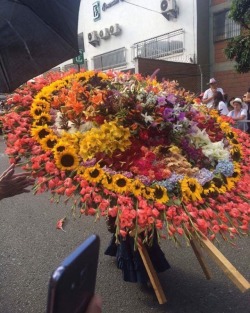 #feriadeflores2017 #desfiledelossilleteros