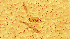 gewalee:  the fangirl challenge [5/7] animated movies → the lion king 