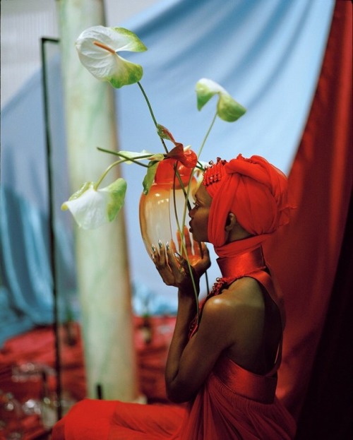 ladolcevitabella: Watermelon Fashion Editorial:  Debra Shaw Is In Sublime ‘New Luxury’ I