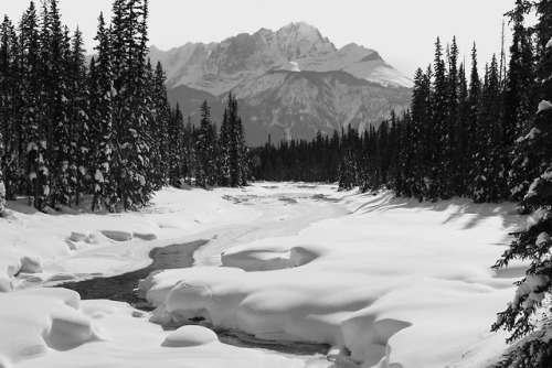 Kicking Horse river in February