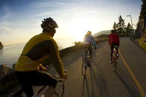 cardosystems: social cycling is da king!