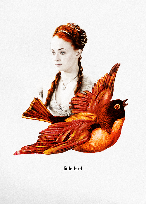 sansasong-deactivated20160227: &ldquo;You’re like one of those birds from the