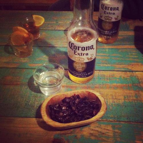 Excellent mezcal spot in downtown Aguascalientes - mezcal, beer and chapulines £3 #mezcal #mexico #a