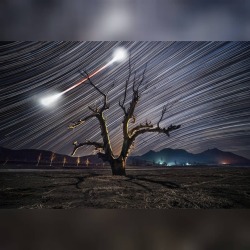 Bow Tie Moon and Star Trails #nasa #apod