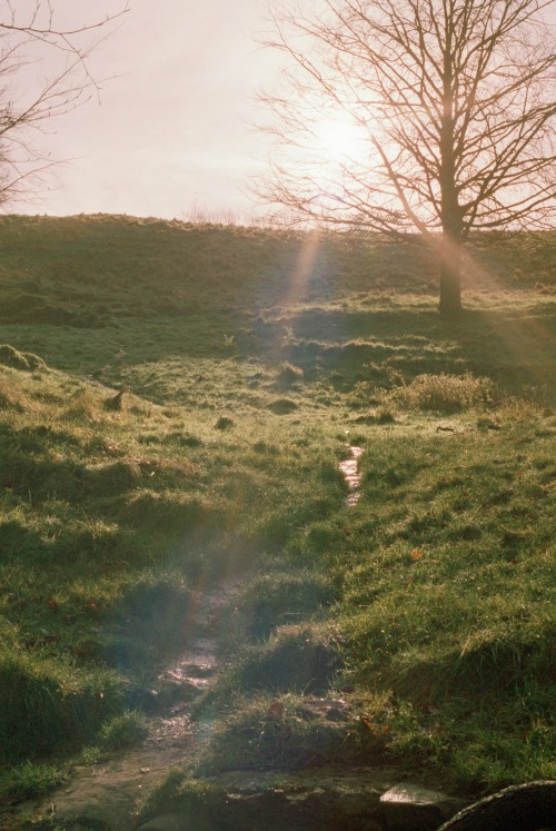 Sunset, England, Winter. peter arkley bloxham || instagram || prints