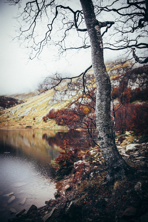kingxen: elenamorelli: { just another autumn day }ift.tt/1yTFVye