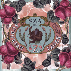 hip-hop-lifestyle:  SZA’s tracklist for her upcoming album, simply titled “Z”. 