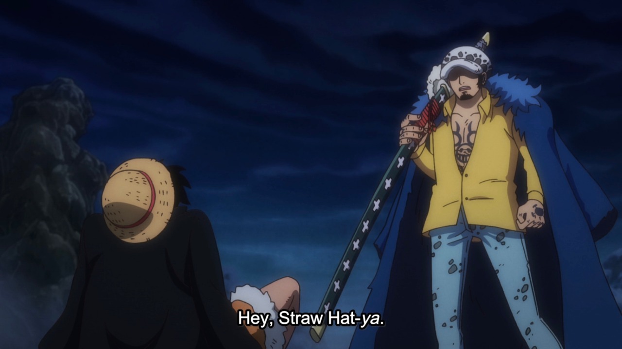 one piece side blog — poor law's trying so hard to maintain a sense of...