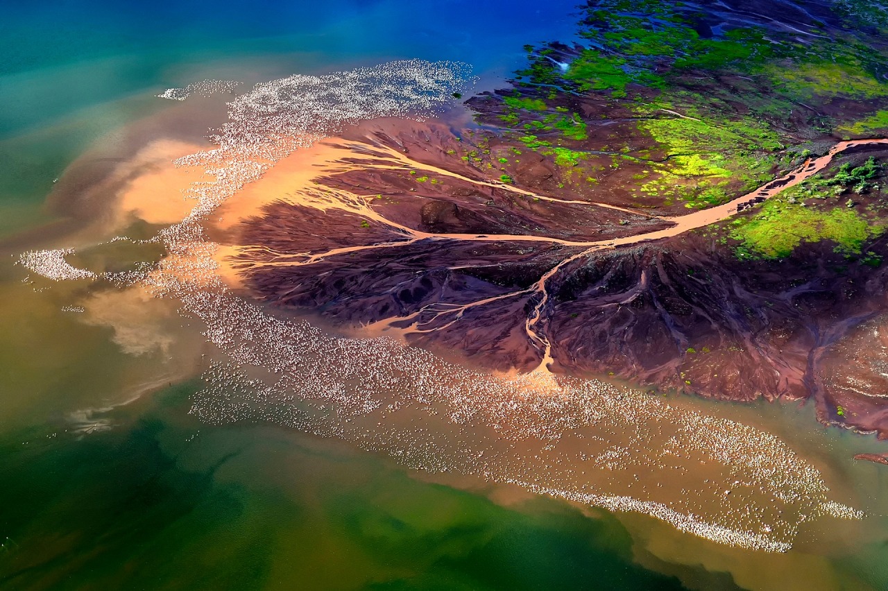 archatlas:  Siena International Photography Awards 2015Check out the captions for