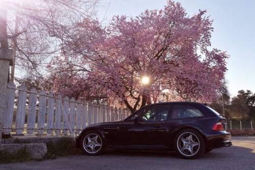 M Coupe