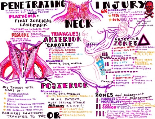 Penetrating trauma to the neck!download all of my medical notes &amp; study guides here