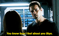 Marvel's Agents of Shield Fan