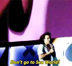 babustyles: x  