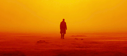 joewright:  Cinematography by: Roger DeakinsBlade Runner 2049 (2017)Directed by Denis Villeneuve“I watched Andrei Tarkovsky’s Solaris (1972, DP Vadim Yusov) a couple of times – not that it bears much relation to what we were doing, but it is a film