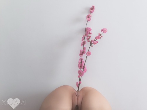 Porn fsdafdsadsa:  老照片 猜猜桃花插在哪☺ photos