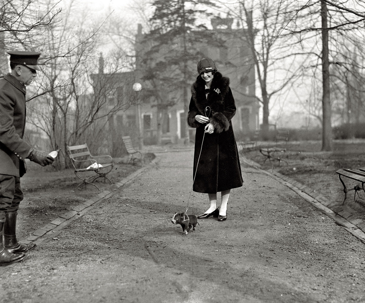 Lois Hoover and her pig go out for a stroll in Washington, D.C. That is the chauffeur