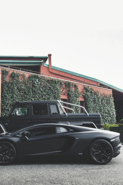 envyavenue:  Matte Crew | Photographer