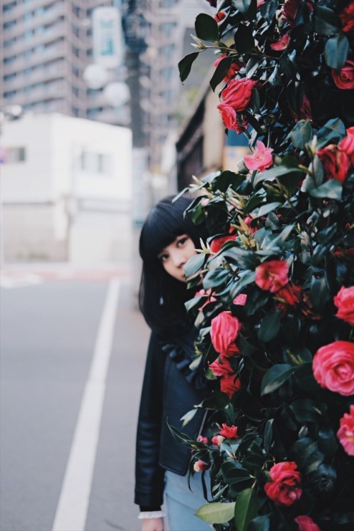 model：mikucamera / lens：fujifilm x-t1 / xf35mm f2 r wr + xc16-50mm 3.5-5.6 ois