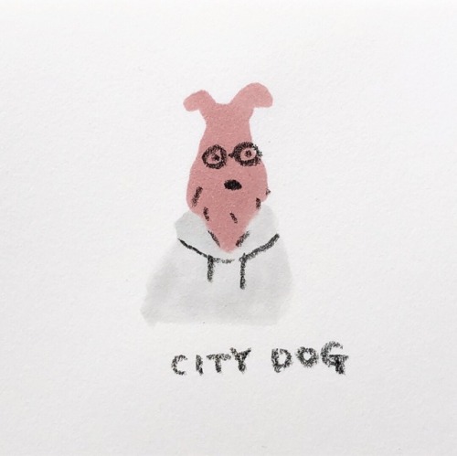 citydog
