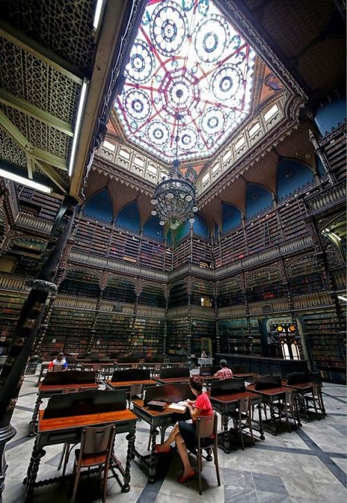 nevver: die Bibliothek