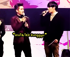 hoho ahjumma