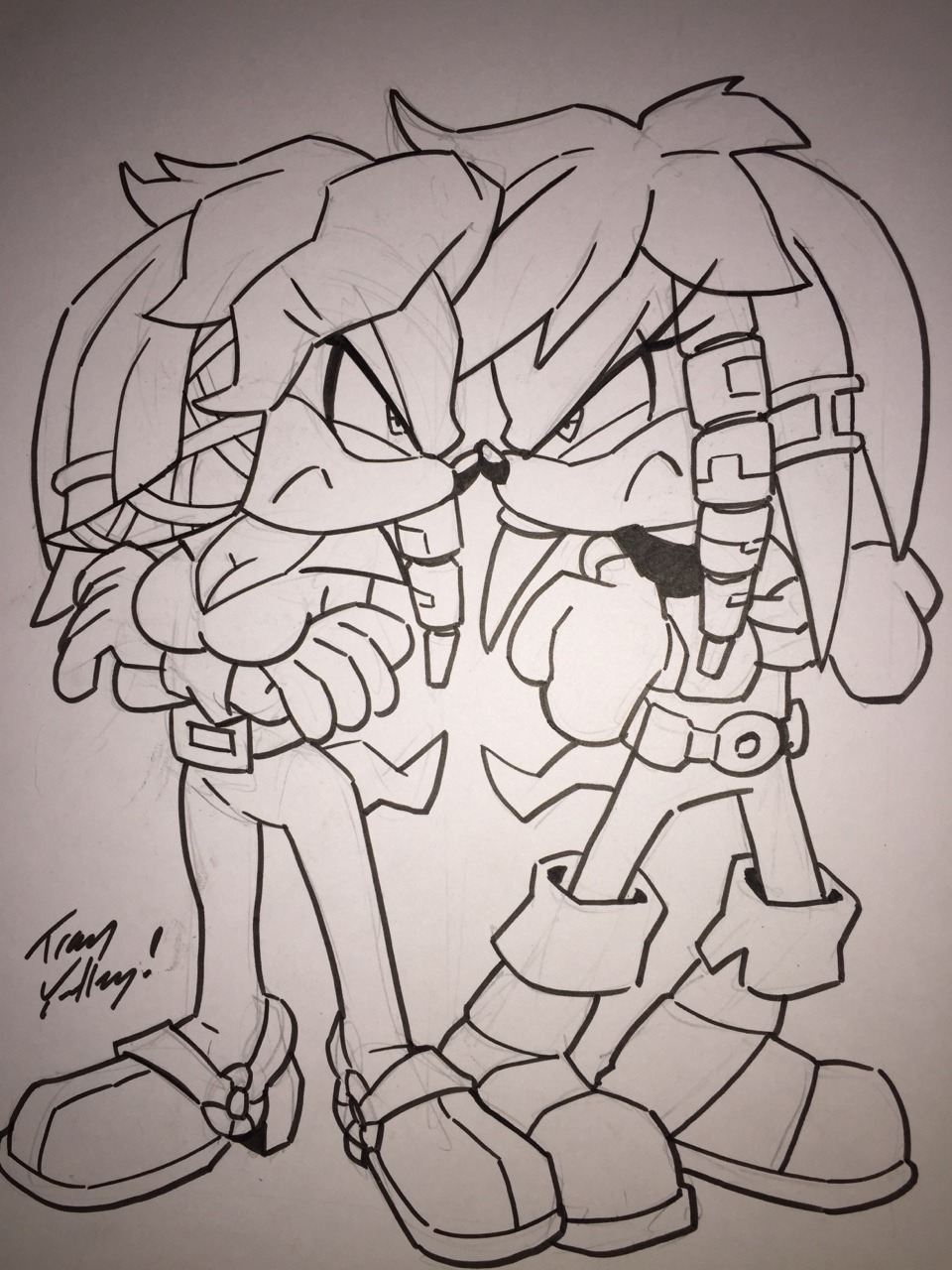 Tracy Yardley's drawing of Julie-Su and Rouge! : r/SonicTheHedgehog