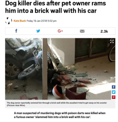 swedishrefugee:   