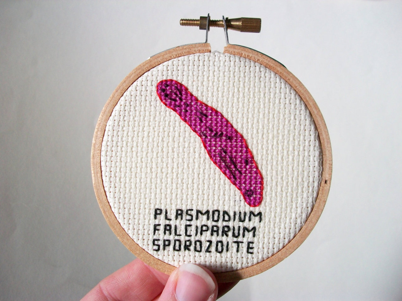 culturenlifestyle: Adorable Cross-Stitched Illustrations of Microbes and Germs by