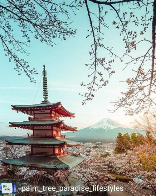 @palm_tree_paradise_lifestyles Beautiful shot from #Japan ️ . . #japanese #mountains #pagoda #landsc