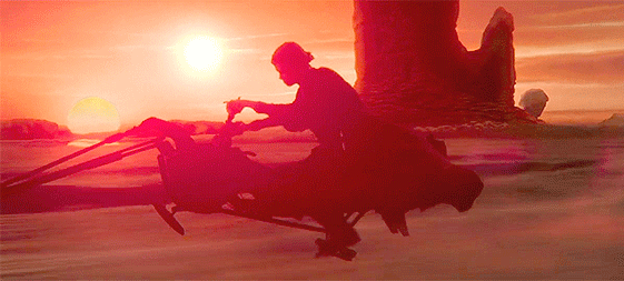 sskywlker:  I killed them. I killed them all. They’re dead, every single one of
