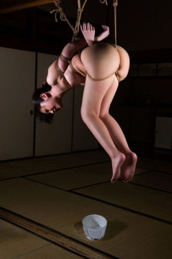 japanesebdsmofficial:  Kinbaku Kasumi HouraiModel