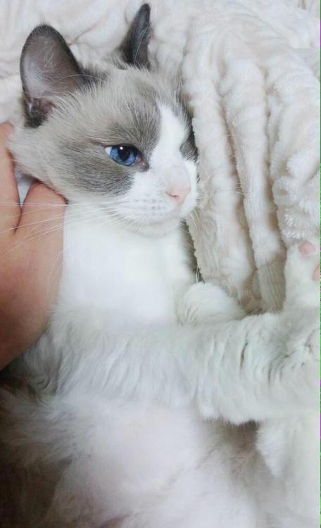 babyanimalimages: Find happiness here