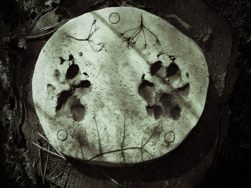 Witch Plaques 1 to 5 in Pendle Wood near Pendle Hill, Lancashire. Each plaque is linked to one of th