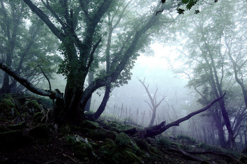 muddysoul:  by sf1003！ 