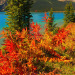 nowlostinalberta-deactivated202: