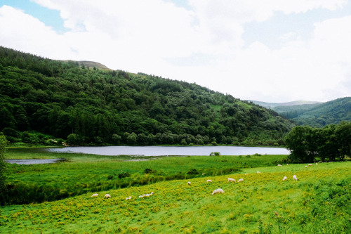 northwezt:  Ireland (July 2, 2016) 