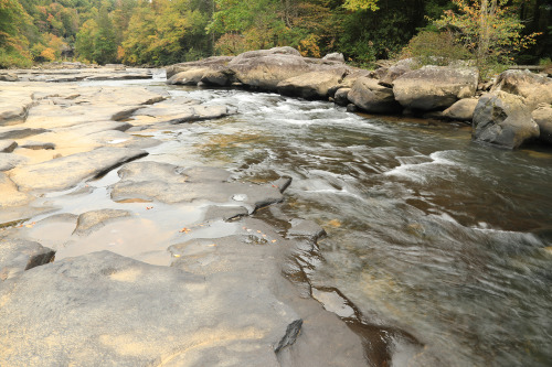 The Middle Fork River takes a gentle, gorgeous turn through the heart of Audra State Park, half a cr