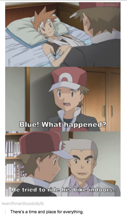 i-have-no-gender-only-rage:  Tumblr and pokemon. Part 2 3 4 5 6 7 8 