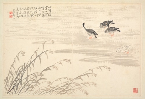 Album of Calligraphy and Paintings, Bian Shoumin, 18th Century, Cleveland Museum of Art: Chinese Art